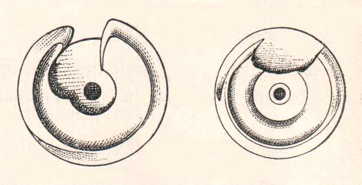 Umlaufgreifer Umlaufgreifer